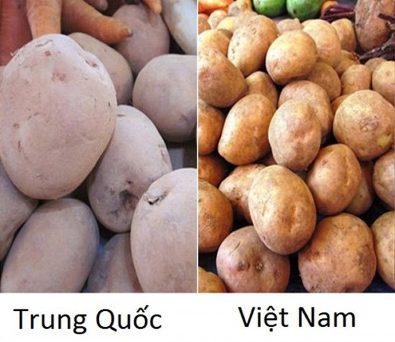 Khoai tây Trung Quốc