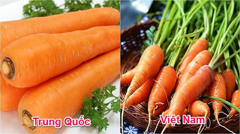 Phân biệt rau củ quả Việt Nam & Trung Quốc