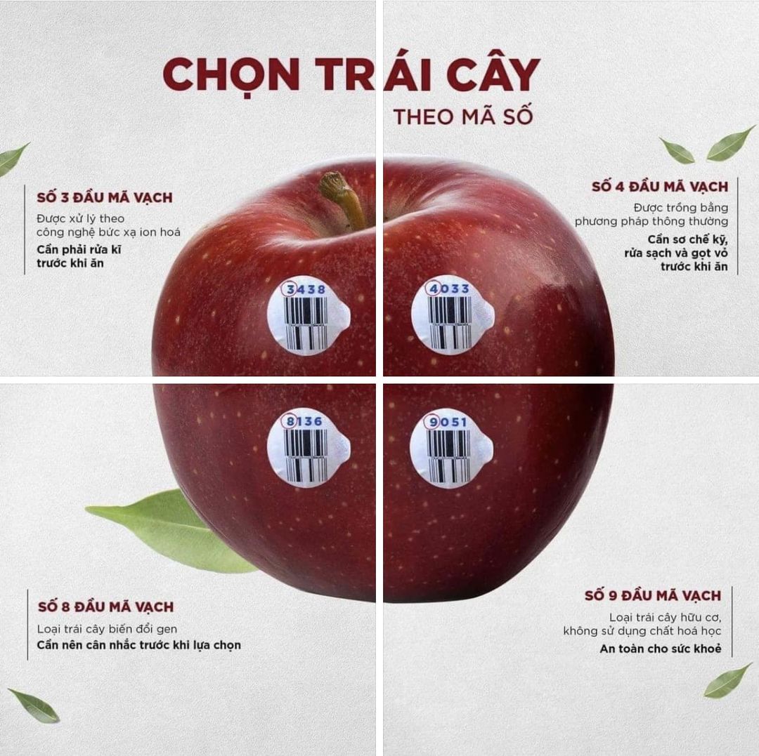 Mã số trái cây an toàn