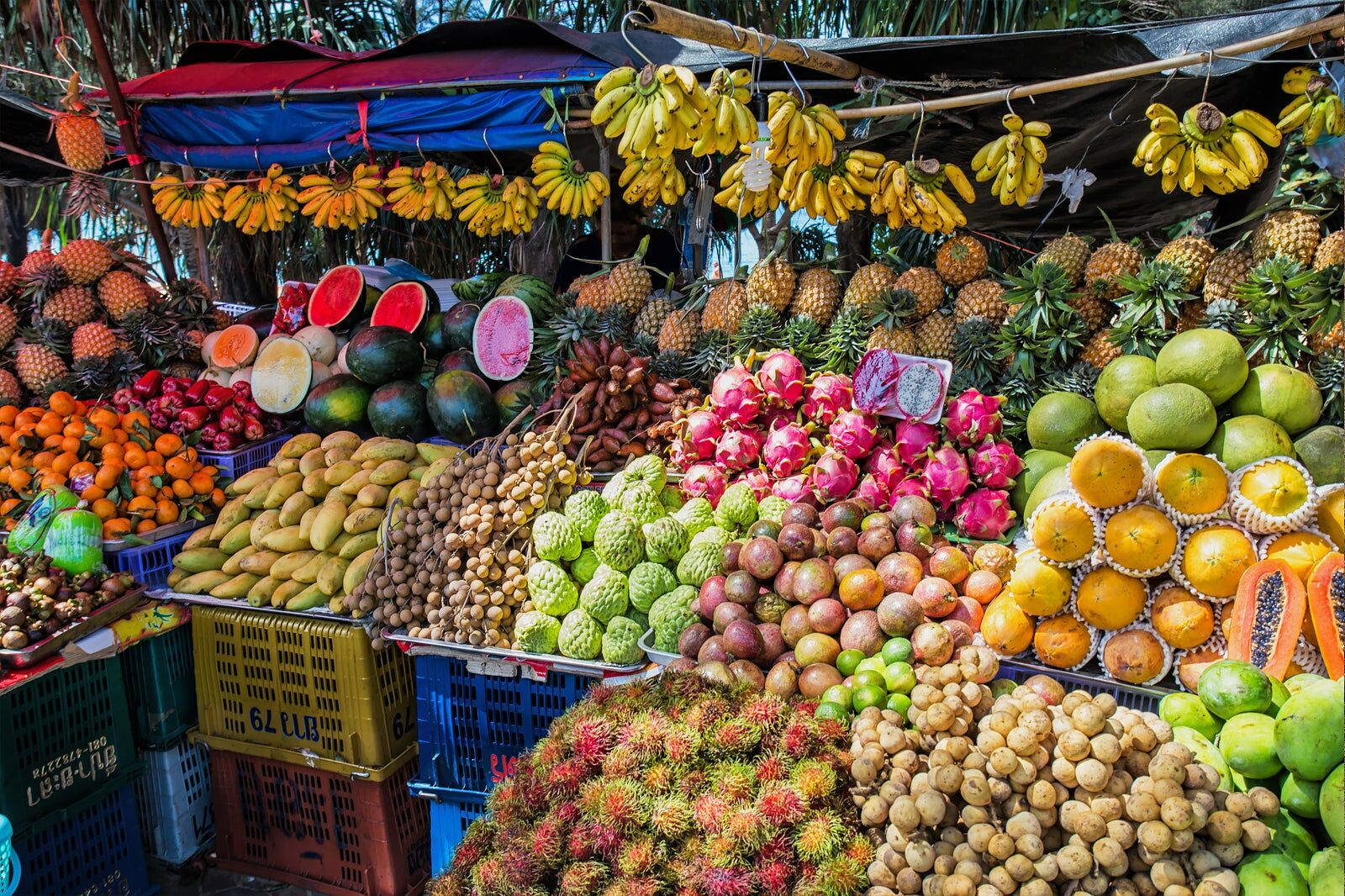 lựa chọn trái cây nhập khẩu